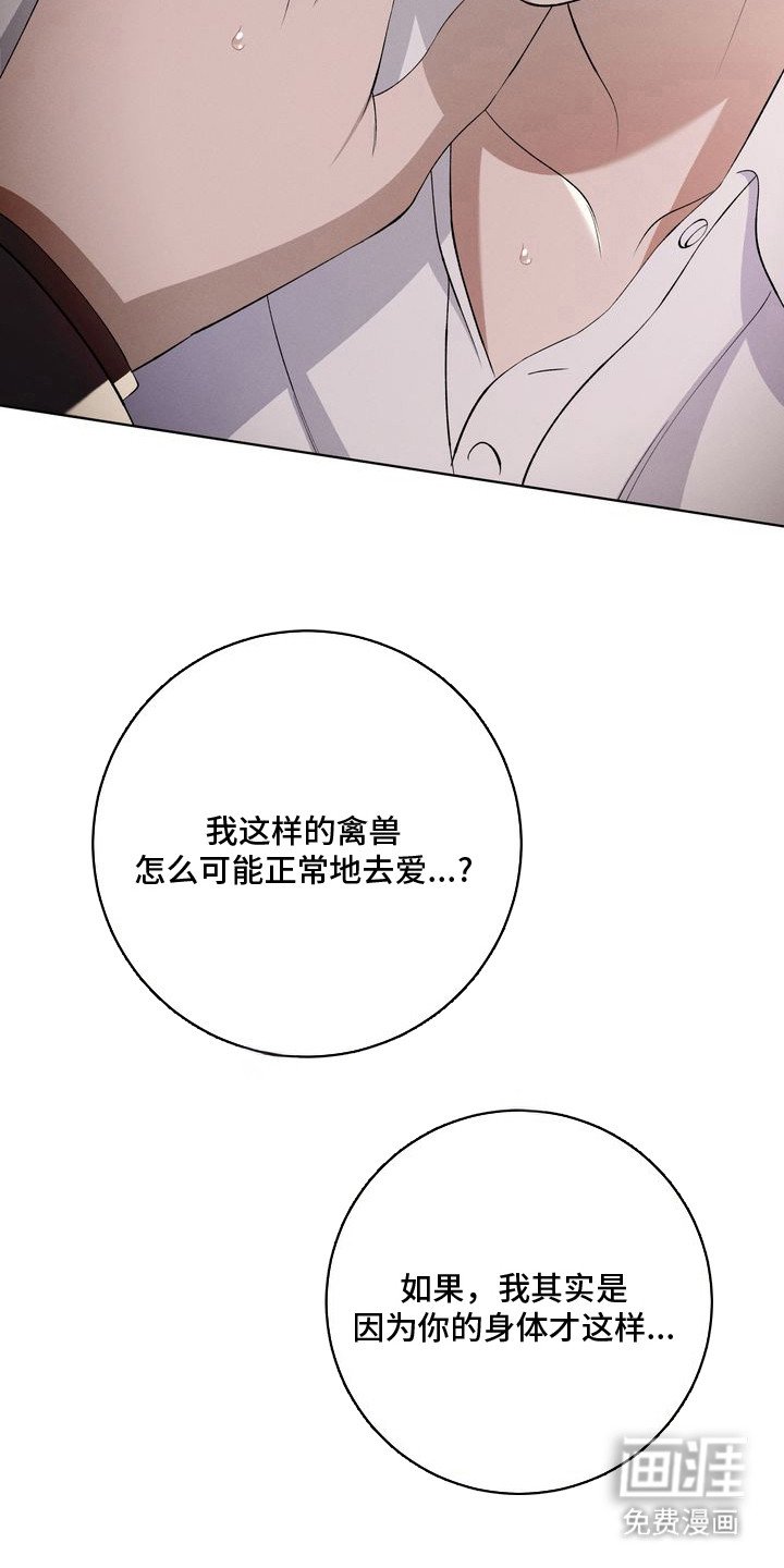 第14章：环蛇禁果：表白