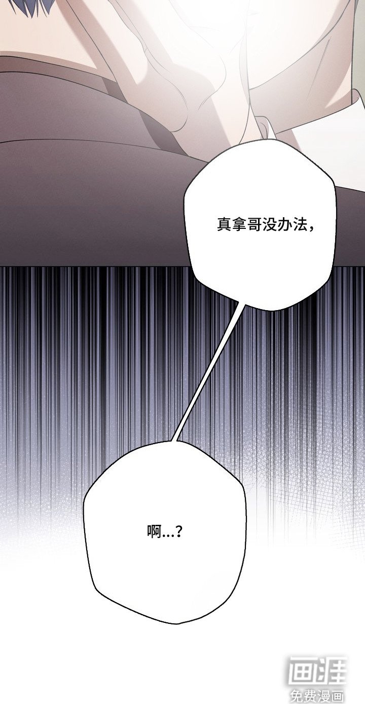 第14章：环蛇禁果：表白