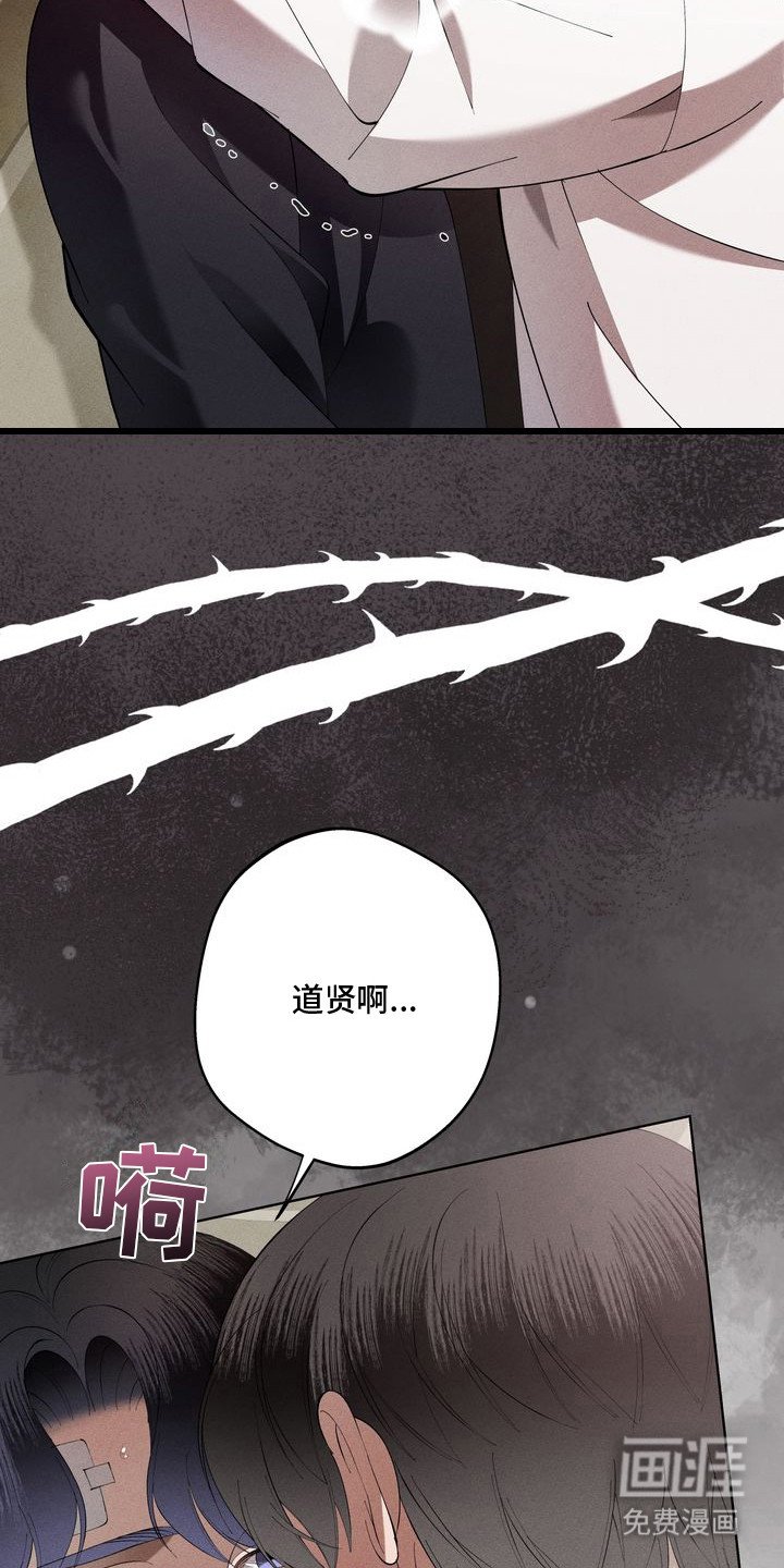 第15章： 环蛇禁果：胜过恋人（完）