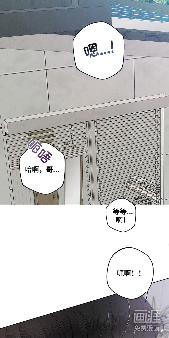 第7章：环蛇禁果：钢笔
