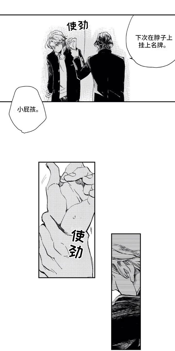 第1章：挑衅他