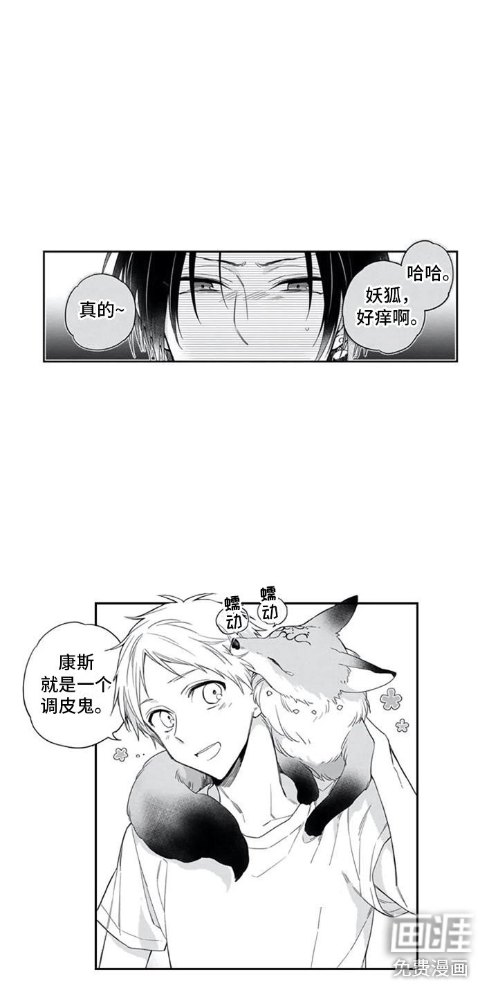 第10章：宠物