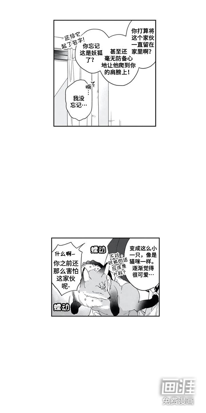 第10章：宠物