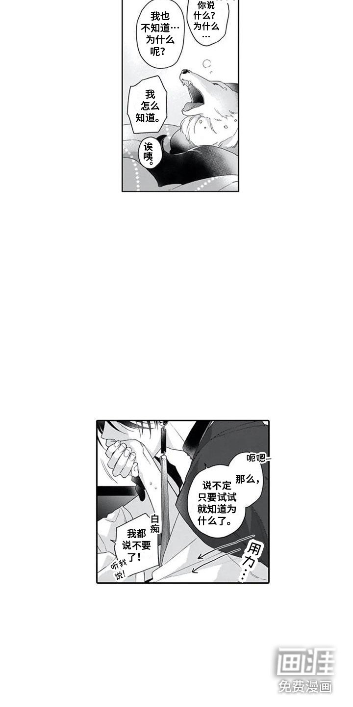 第11章：独占欲