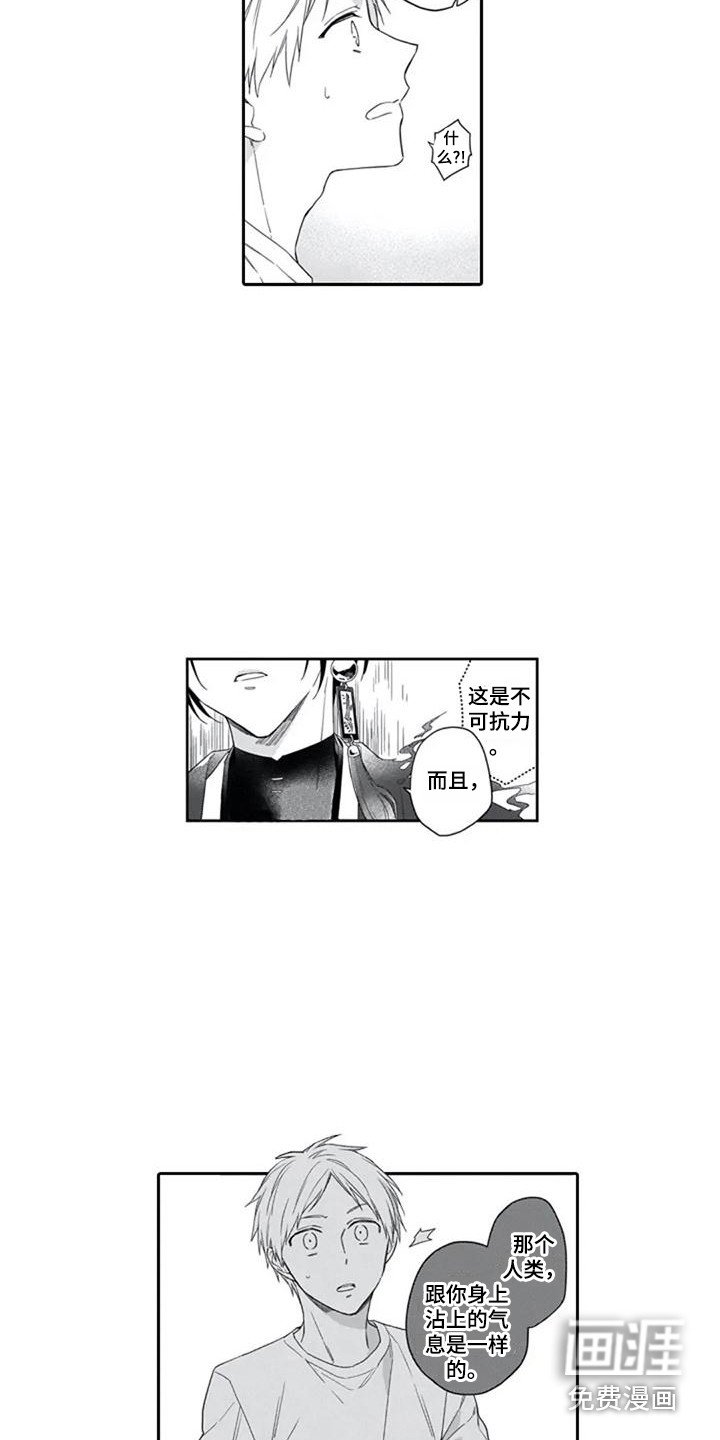 第14章：嫉妒心