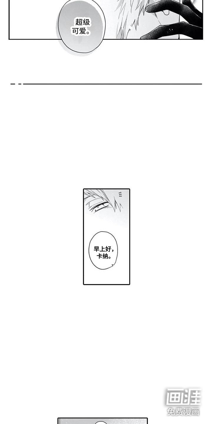 第15章：渐渐习惯