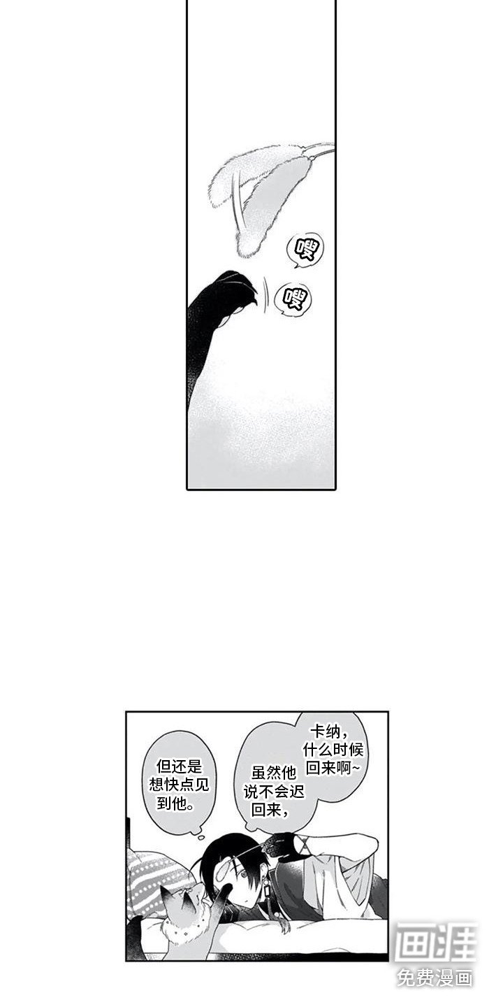 第17章：不速之客