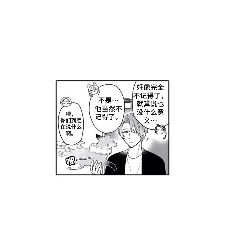 第18章：说明情况