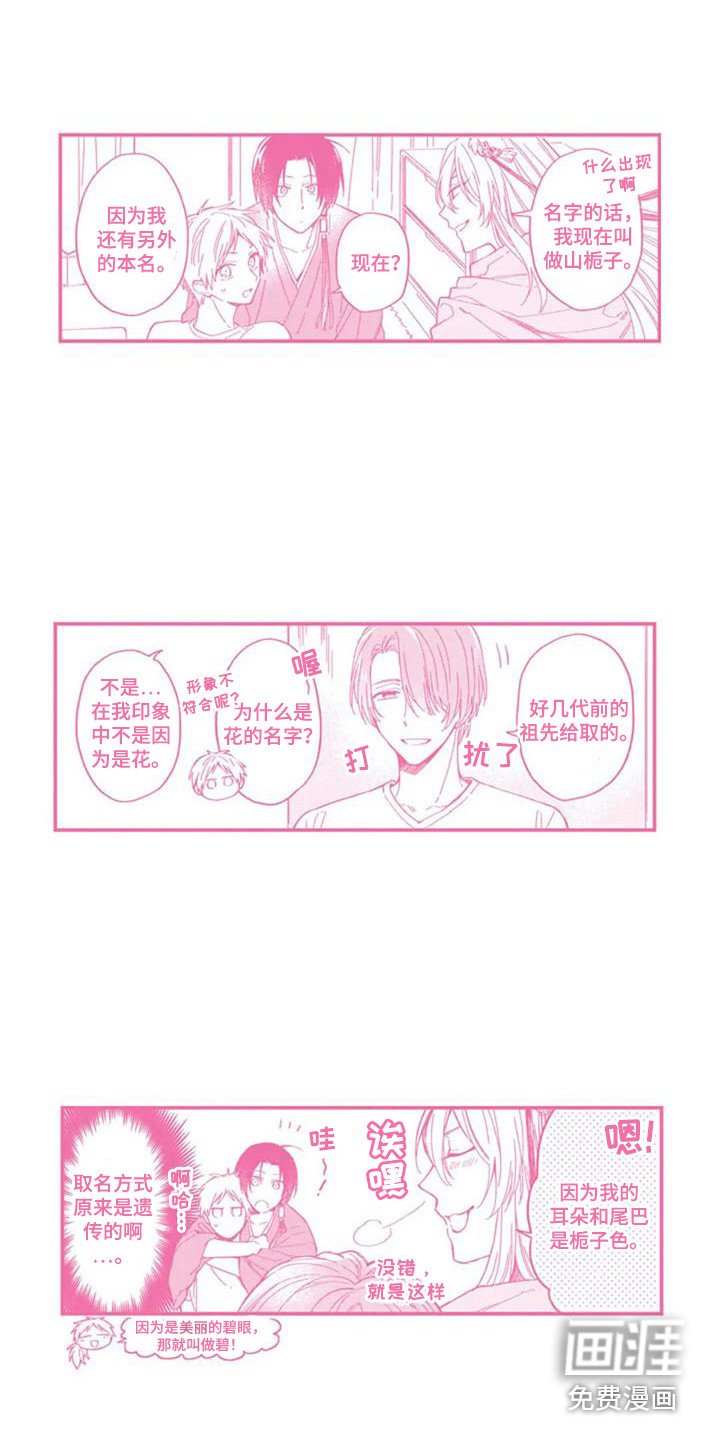 第28章：很喜欢（完结）