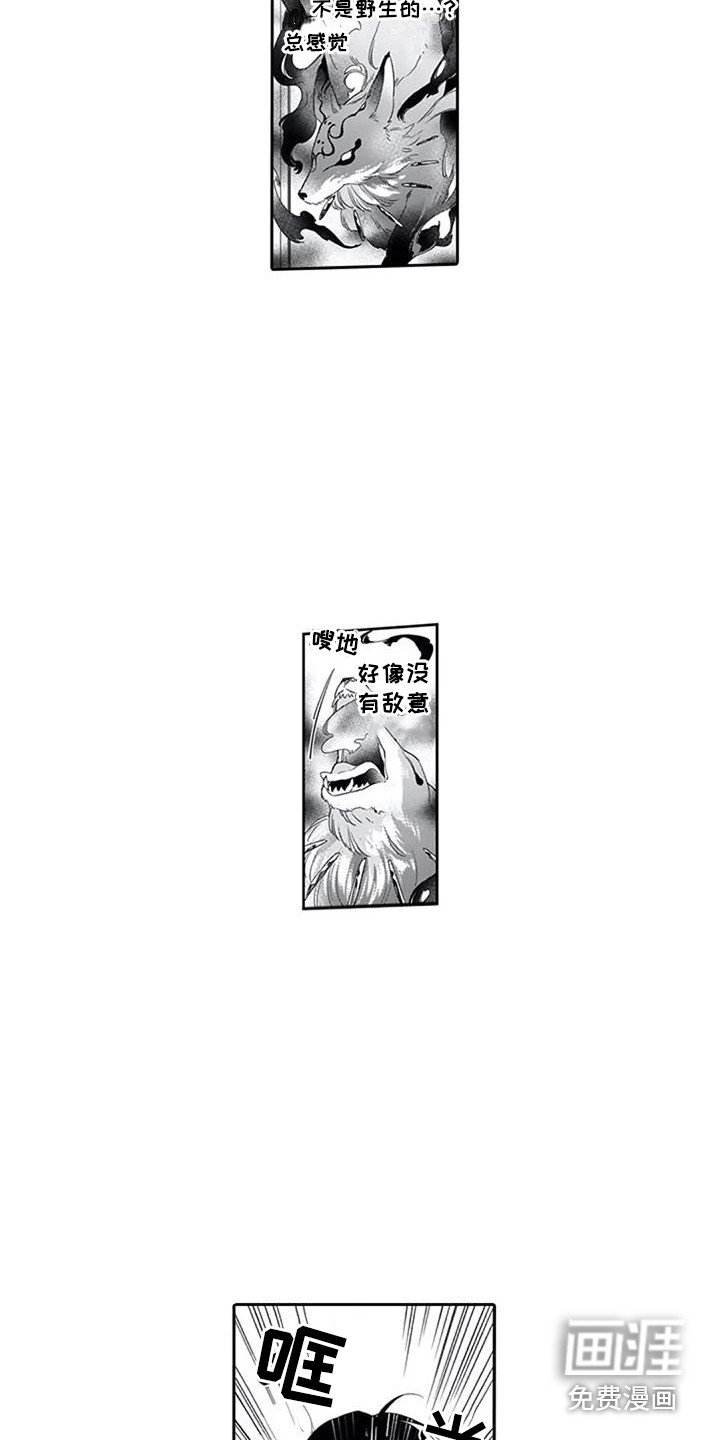 第8章：妖狐