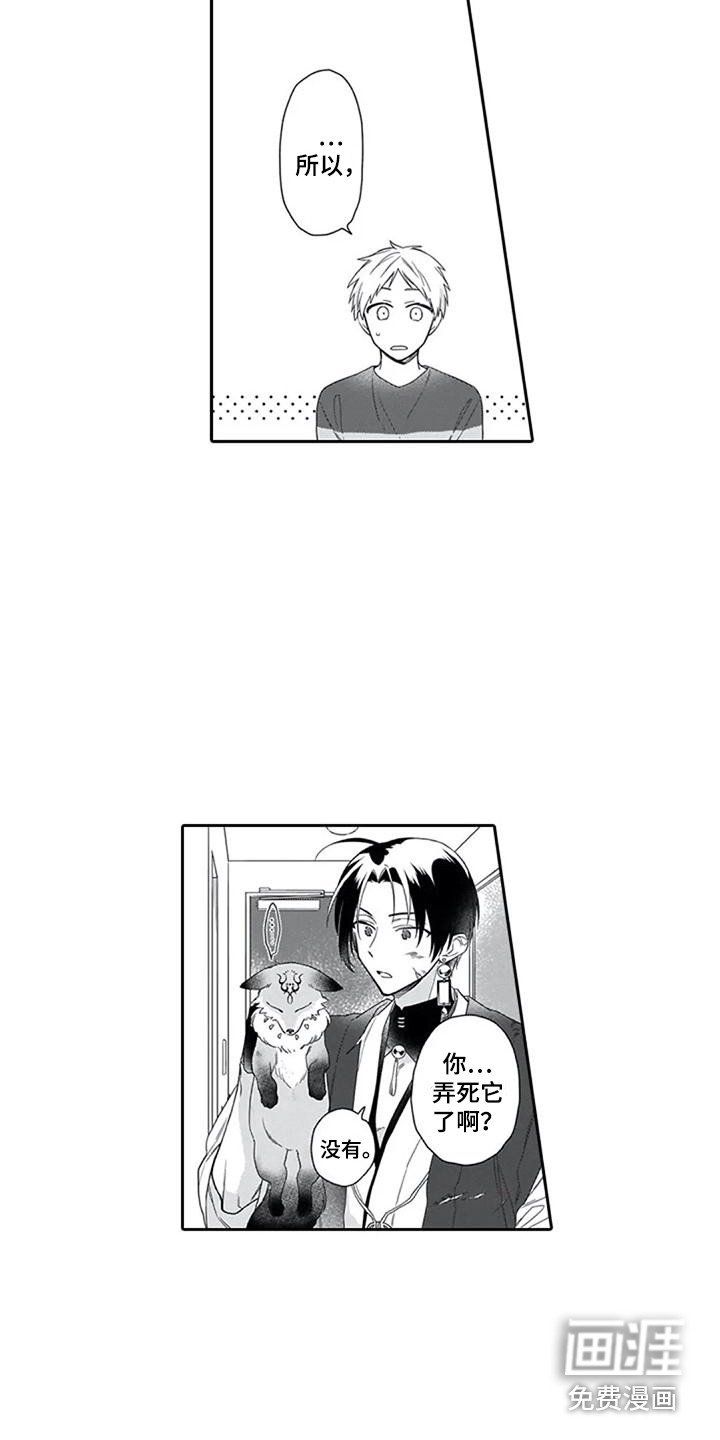 第9章：保护
