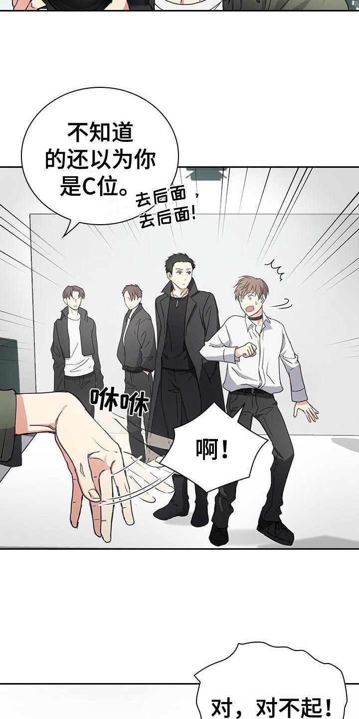 第1章：爱豆组合