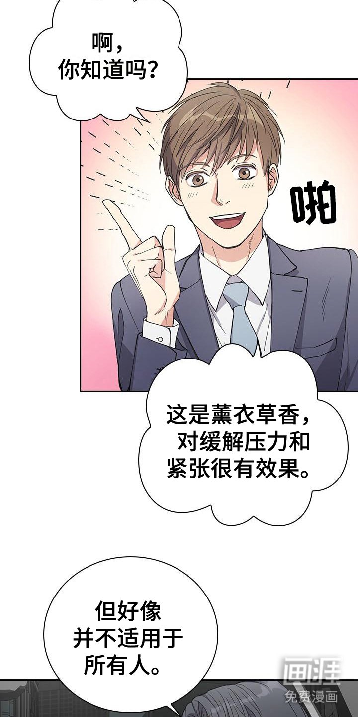第4章：薰衣草香