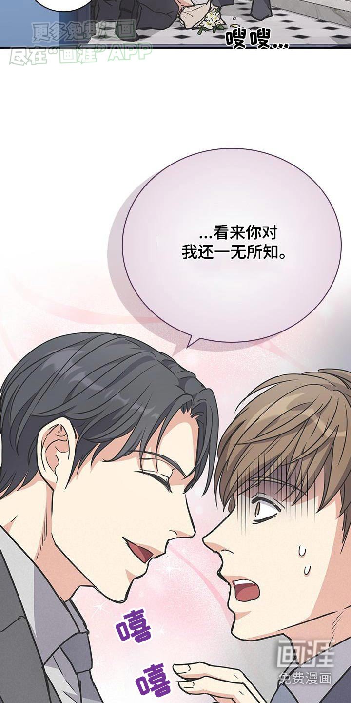 第41章：喜欢你