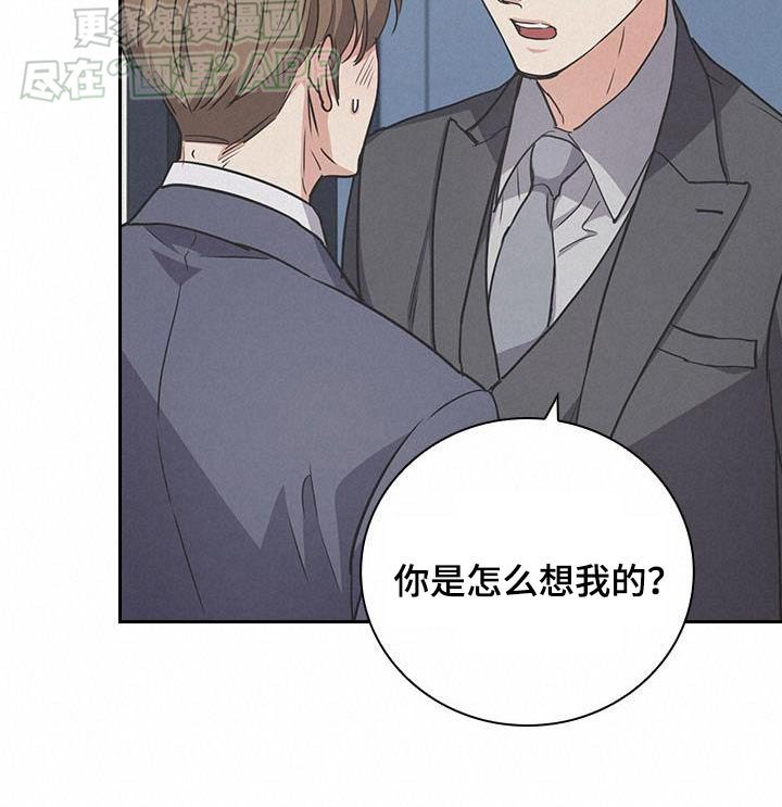 第41章：喜欢你