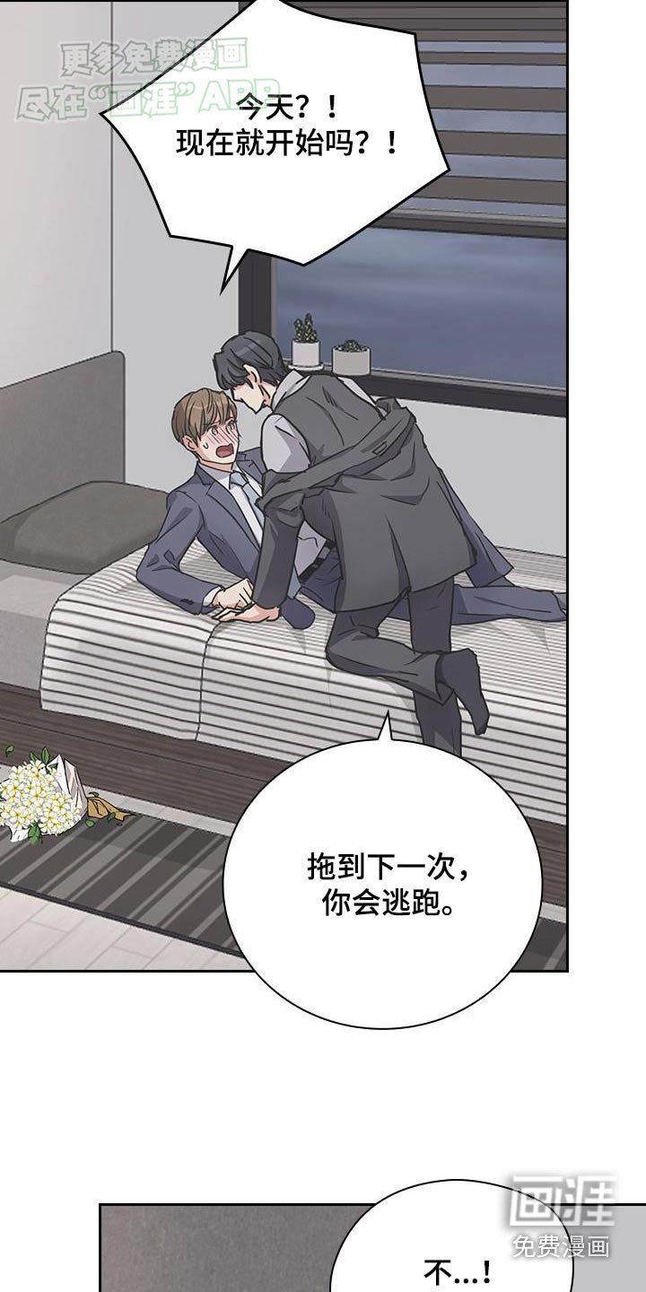 第42章：不介意试试
