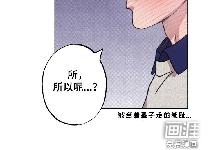 第19章：羞耻