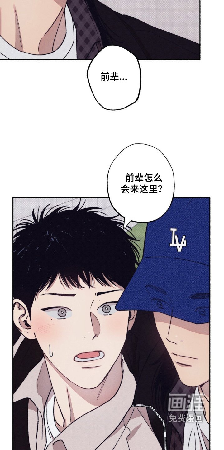 第46章：【第二季】有对象了