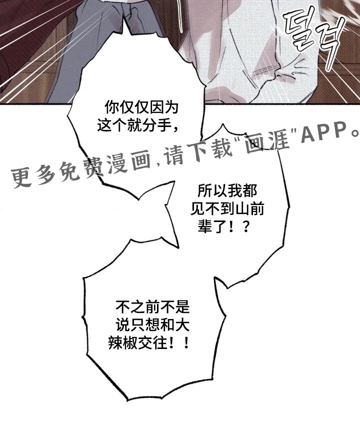 第53章：【第二季】为什么分手