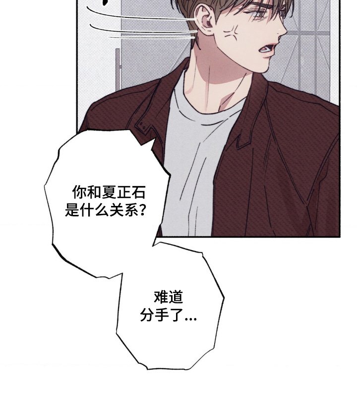 第53章：【第二季】为什么分手