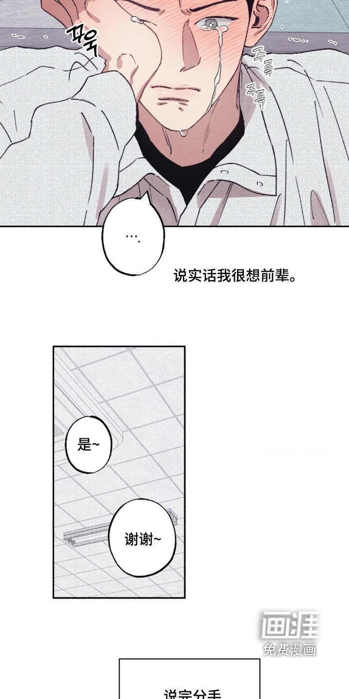 第54章：【第二季】就当没发生过