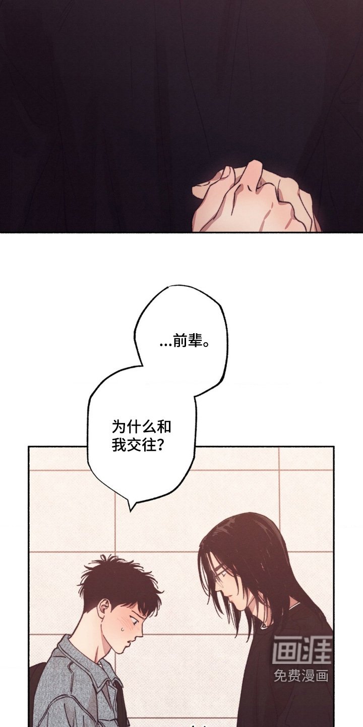 第56章：【第二季】为什么喜欢我