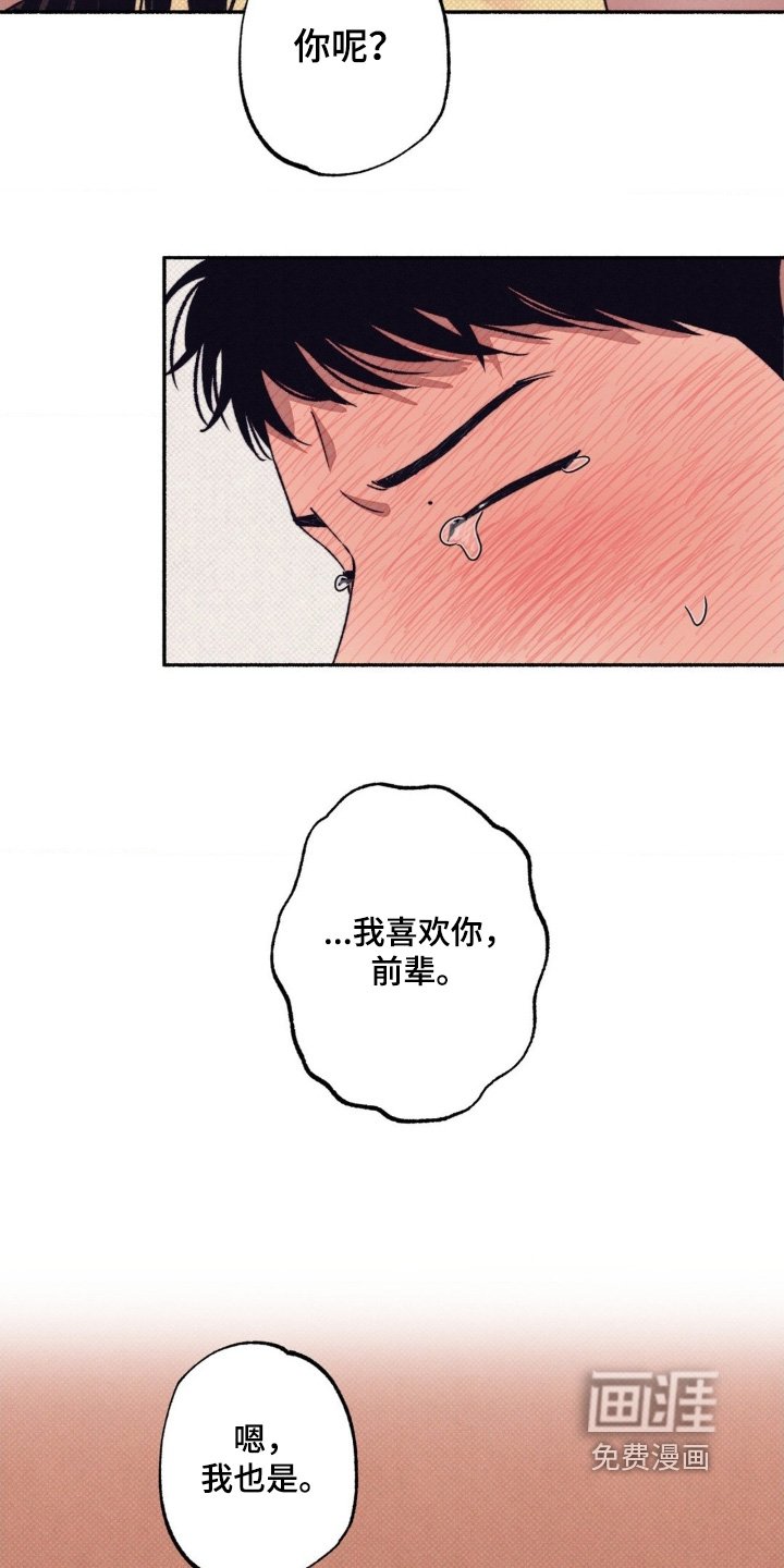 第56章：【第二季】为什么喜欢我