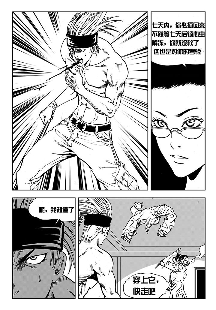 第13章：