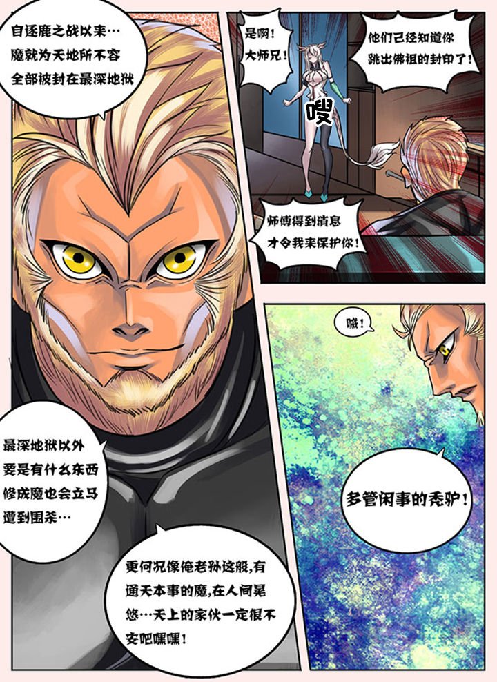 第11章：