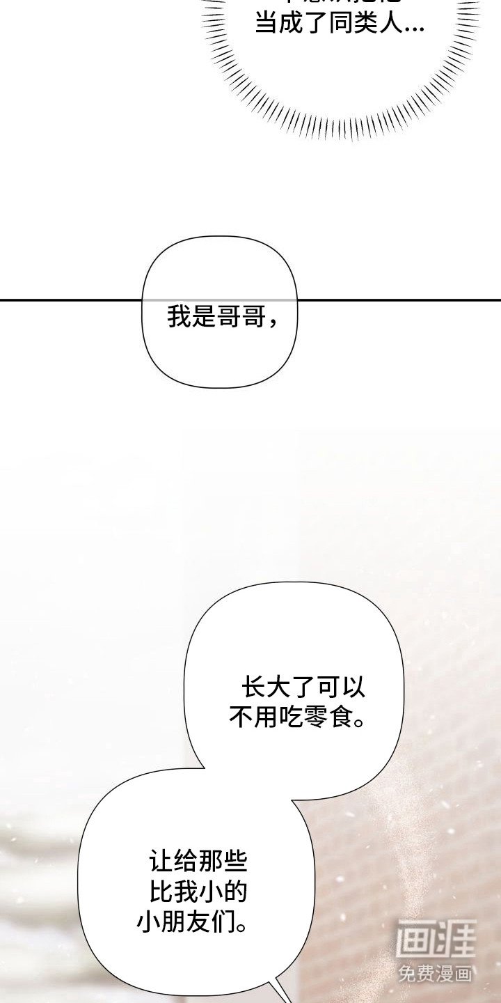第2章：暖冬牢笼：一见钟情