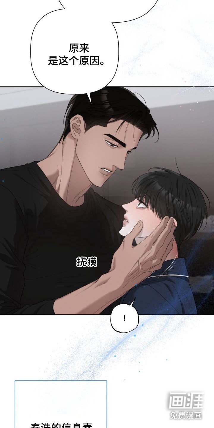 第5章：暖冬牢笼：信息素