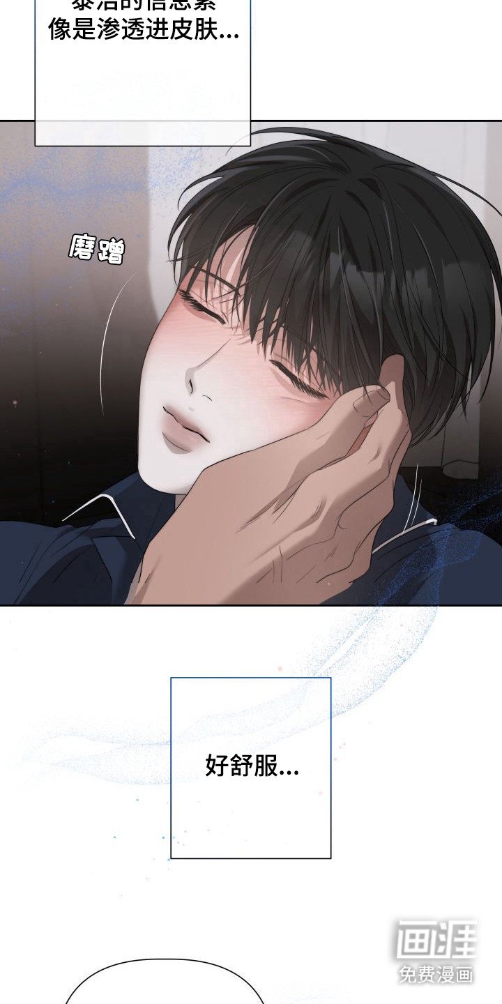 第5章：暖冬牢笼：信息素