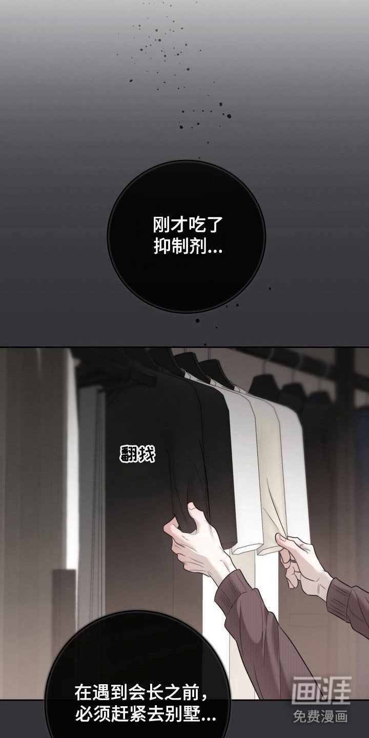 第9章：暖冬牢笼：早就知道