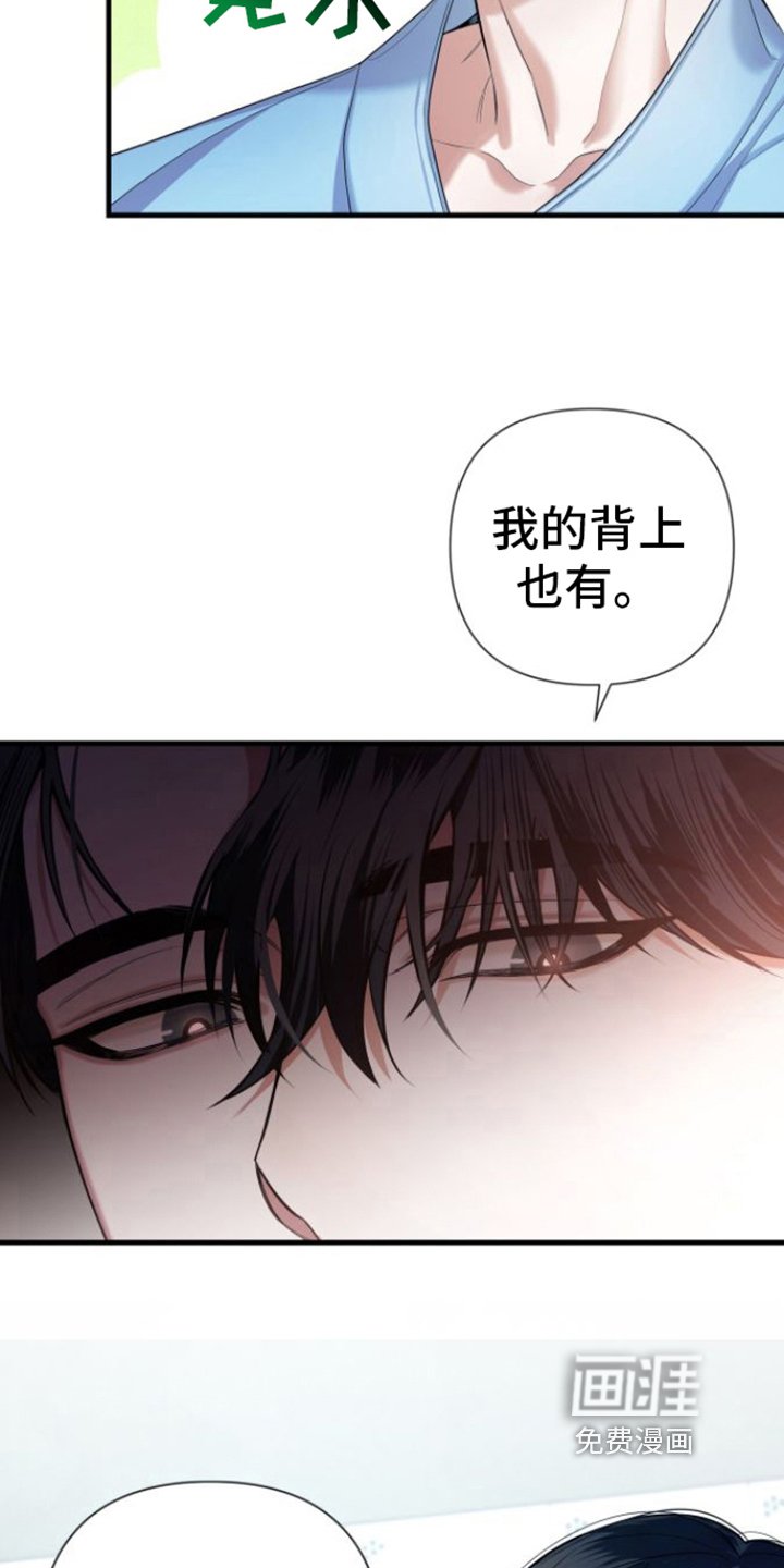 第15章：不敢置信