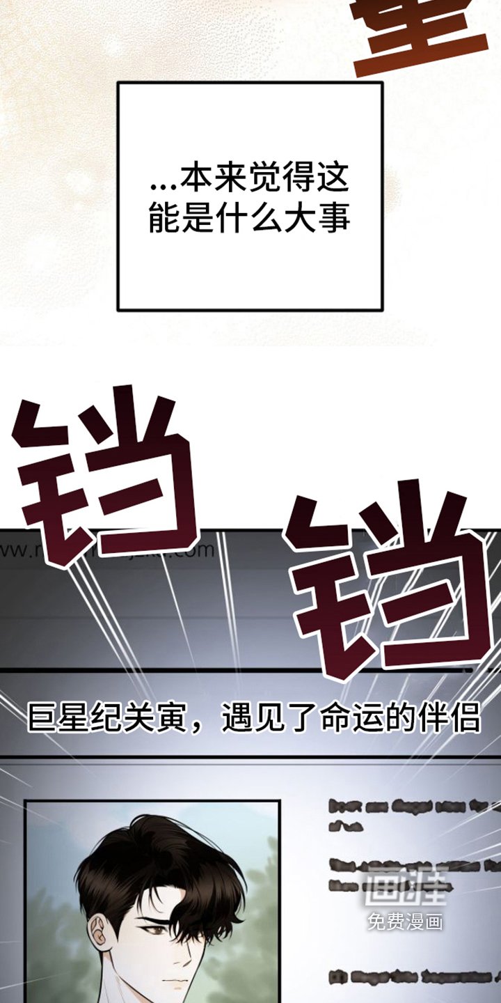 第19章：了解