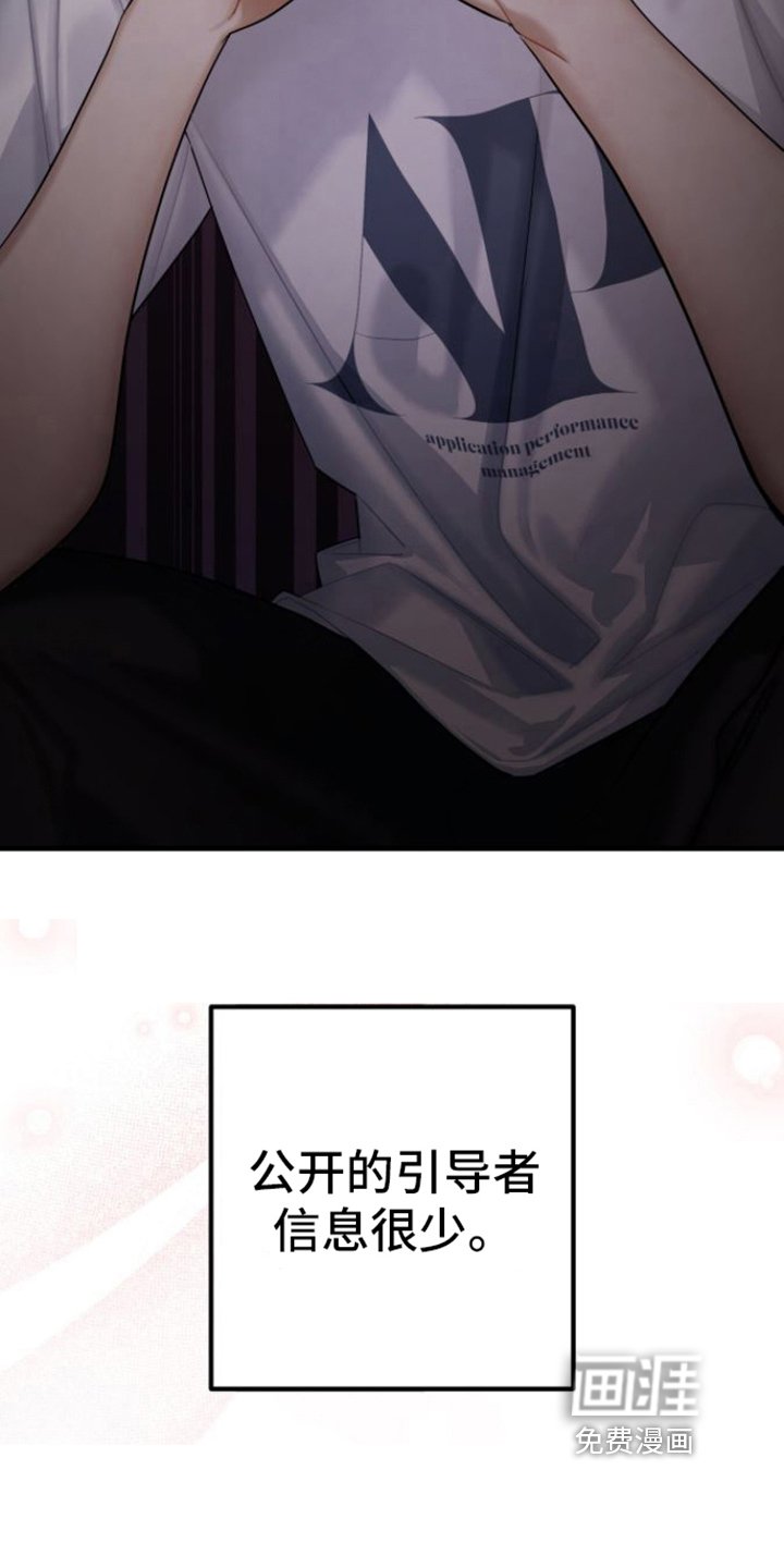 第19章：了解