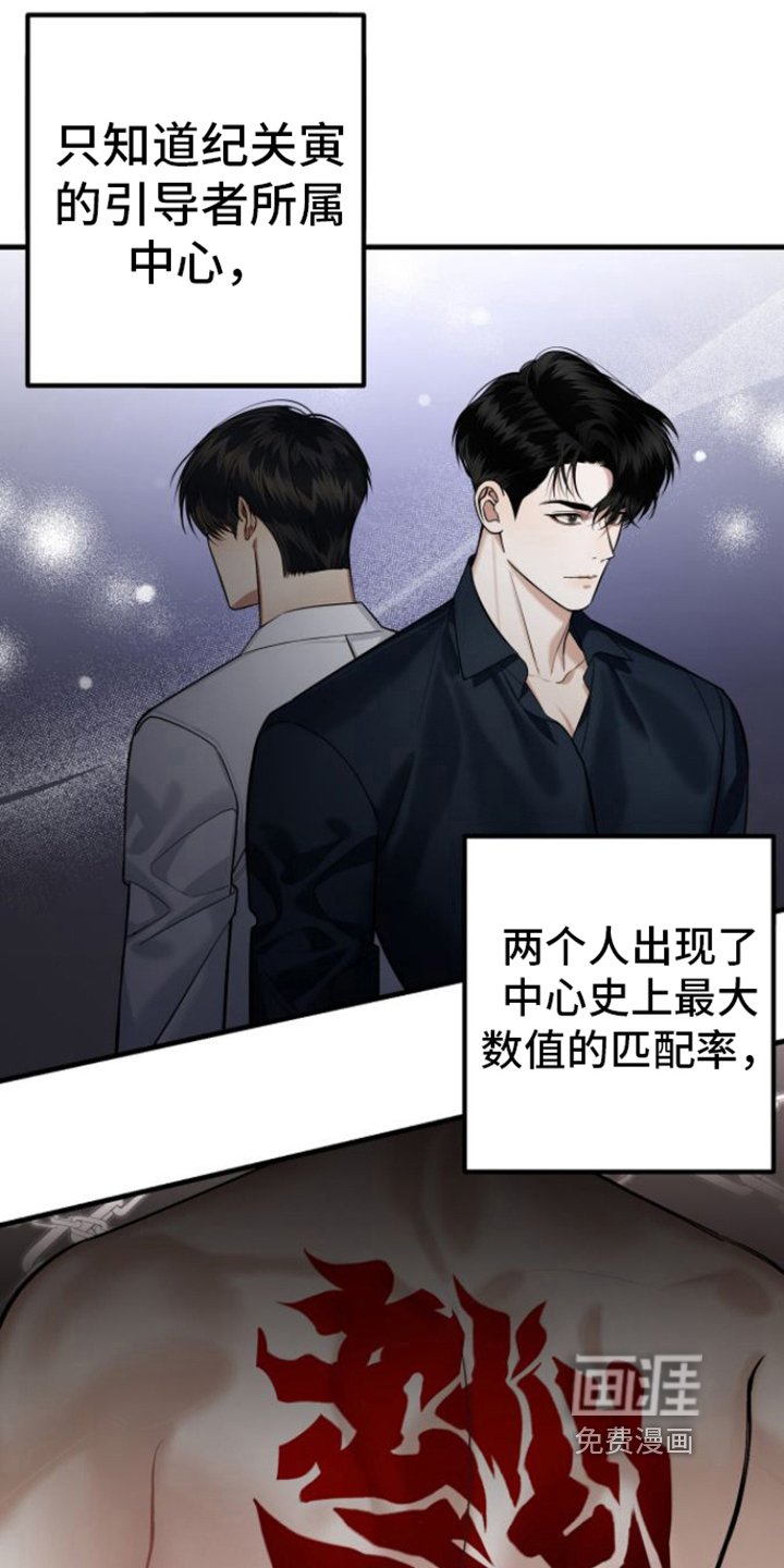 第19章：了解
