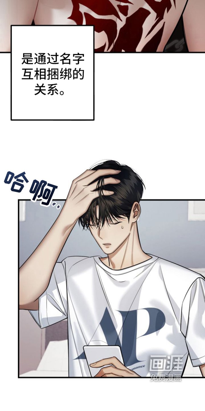 第19章：了解