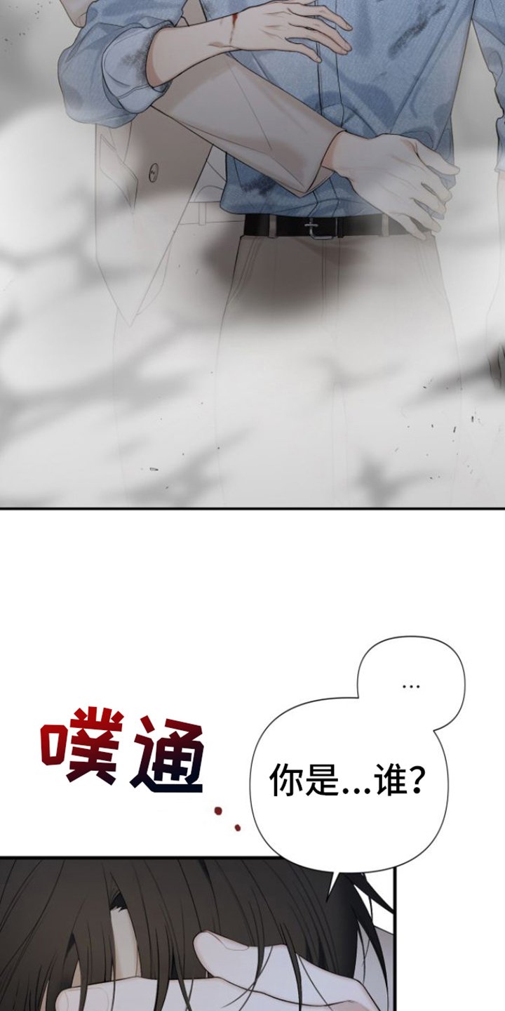 第2章：保护