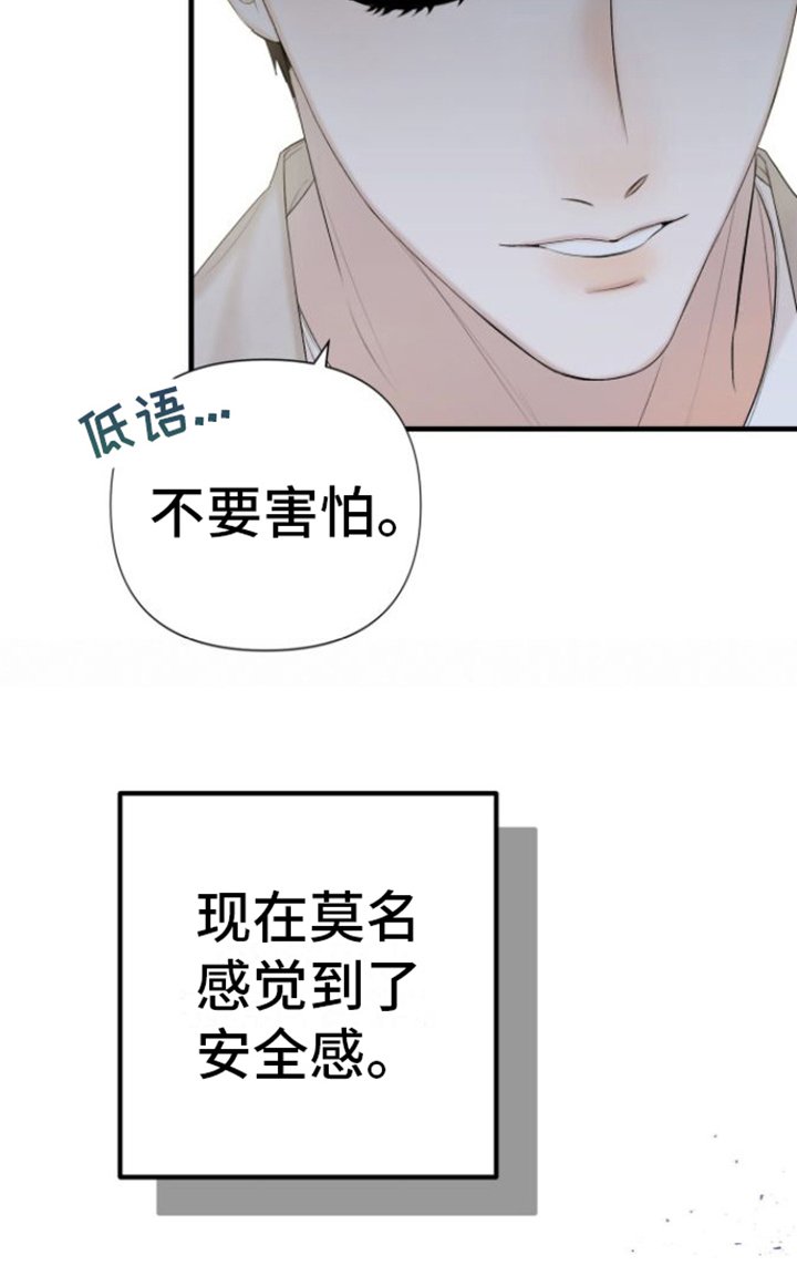 第2章：保护