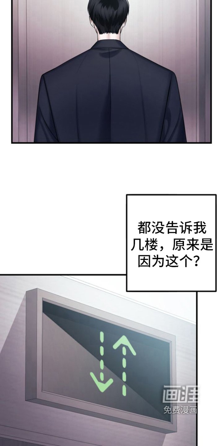第21章：回来了