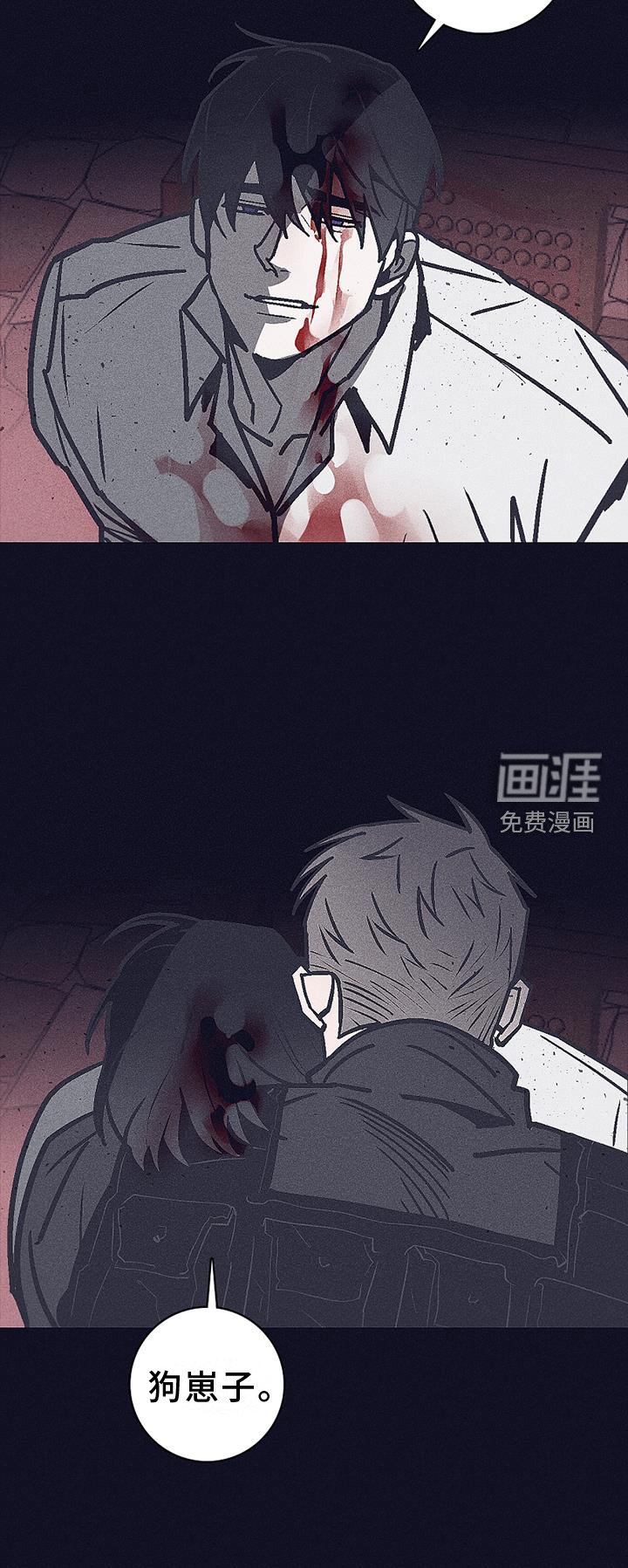 第28章：询问