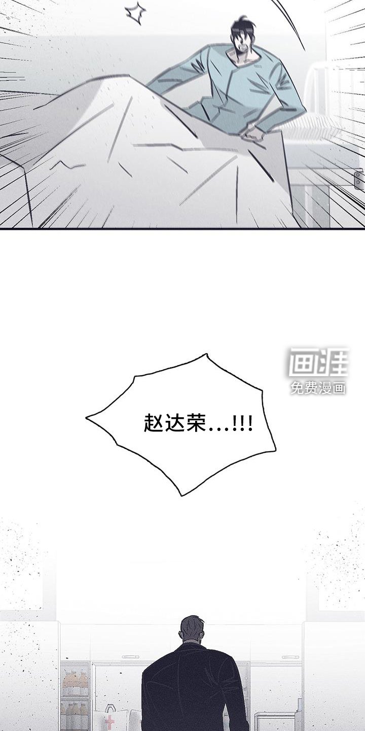 第29章：选择