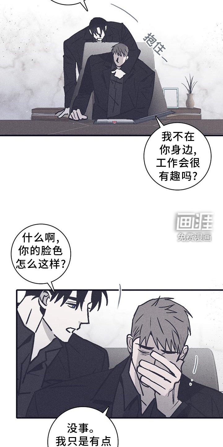 第29章：选择