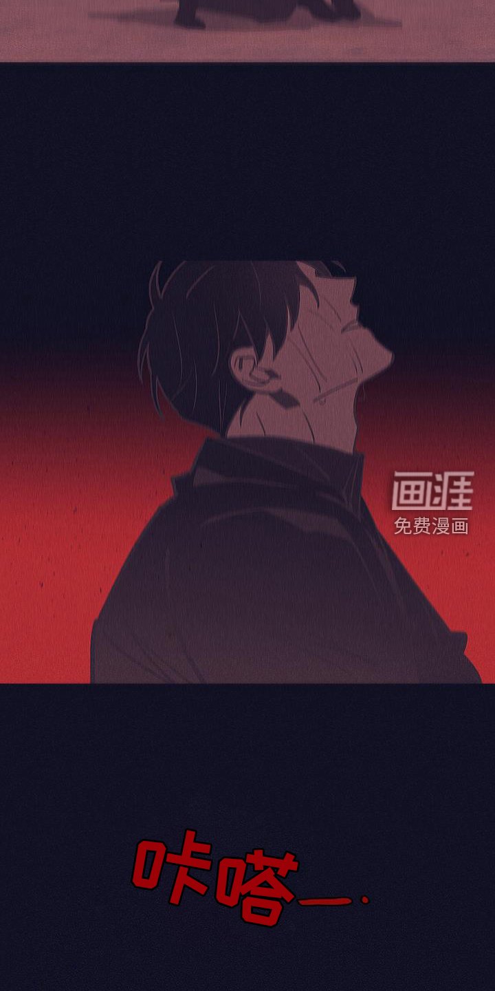 第37章：选择
