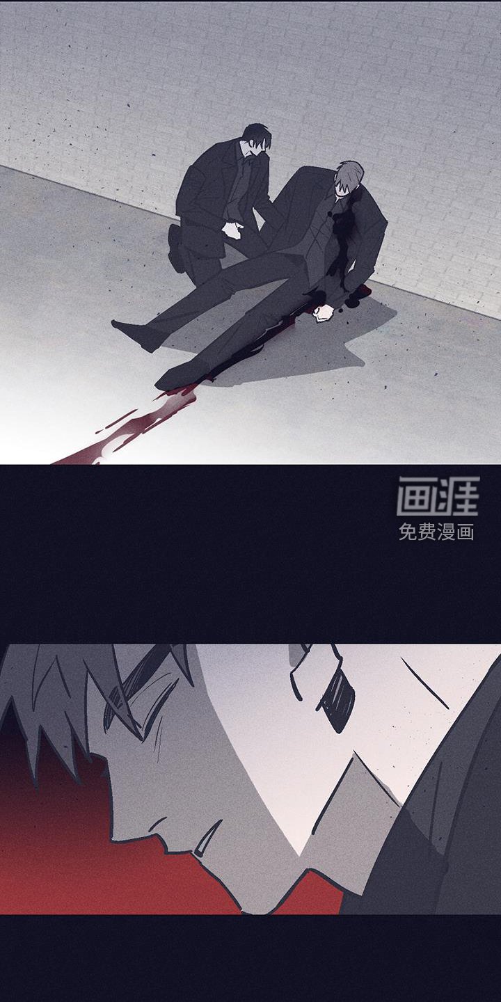 第37章：选择