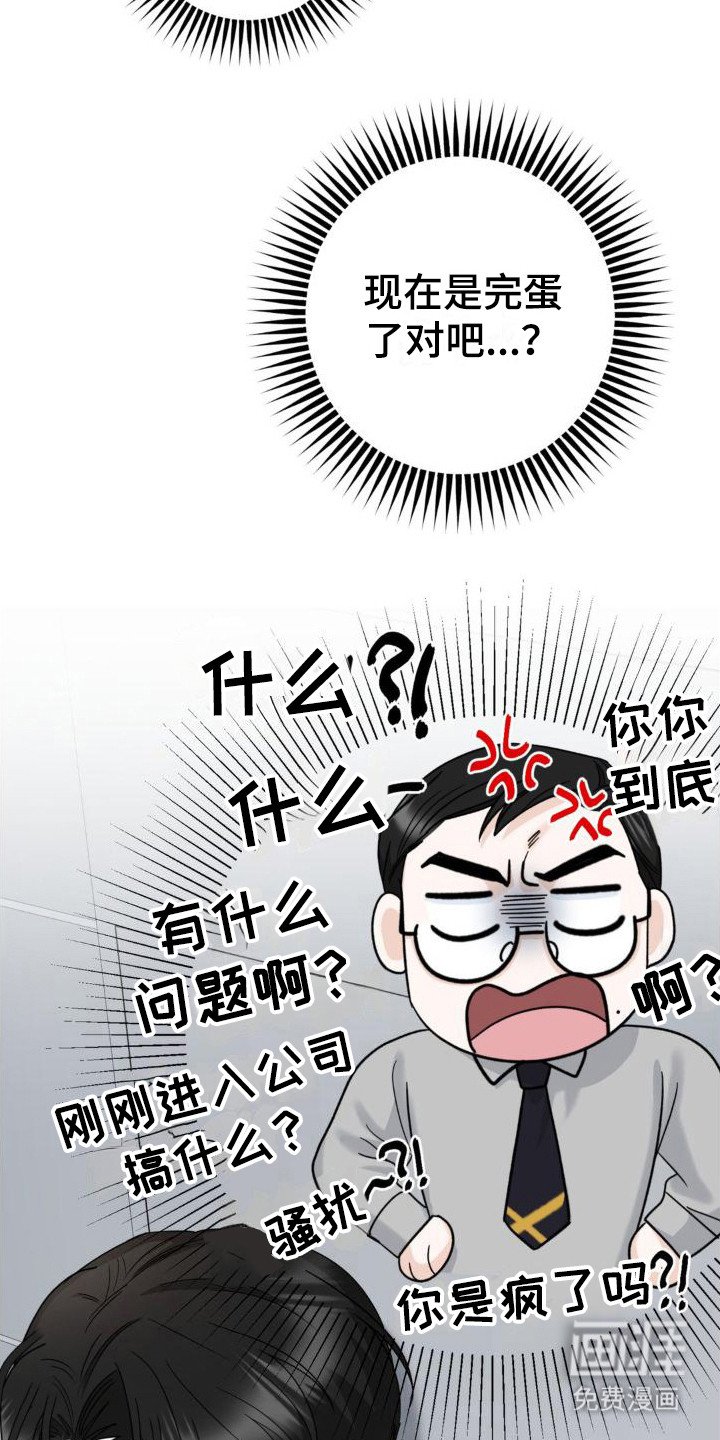 第12章：命运与偶然