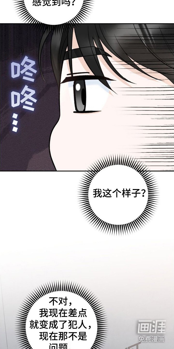 第12章：命运与偶然