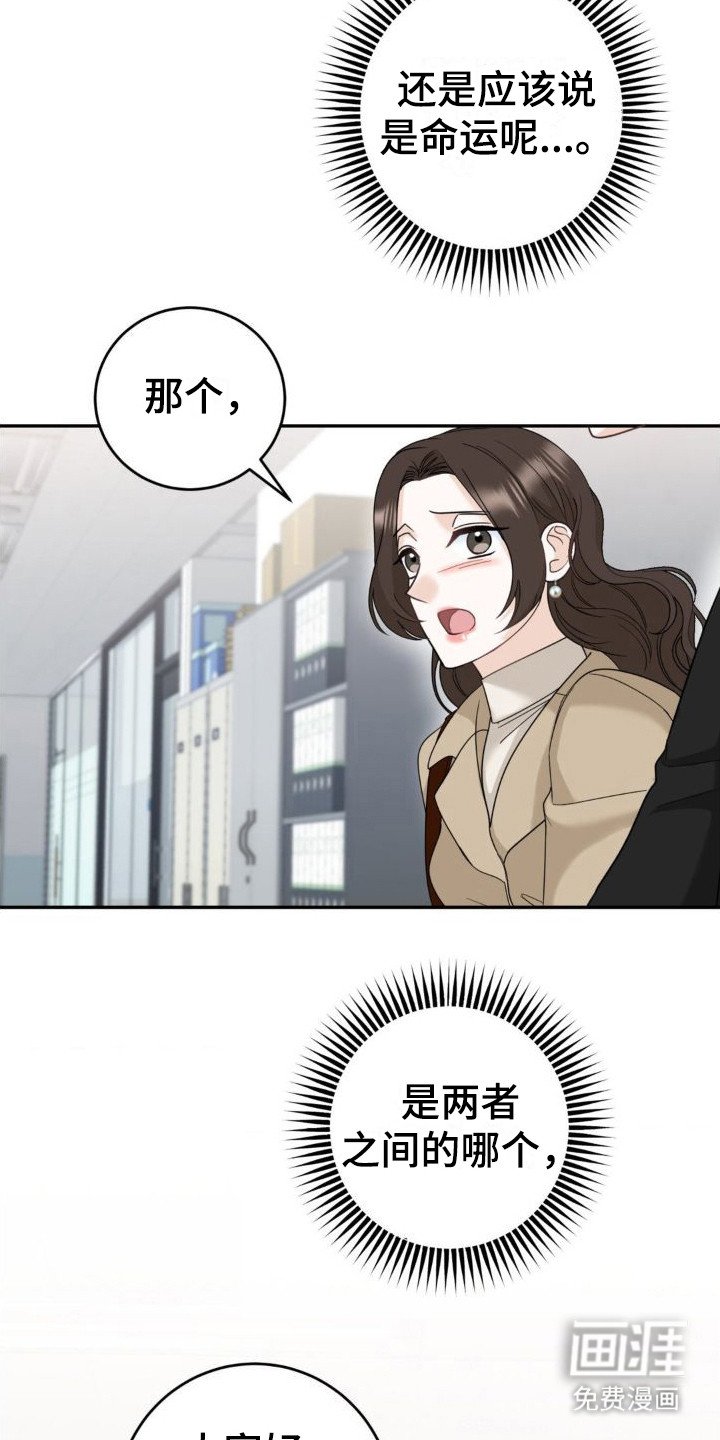 第12章：命运与偶然