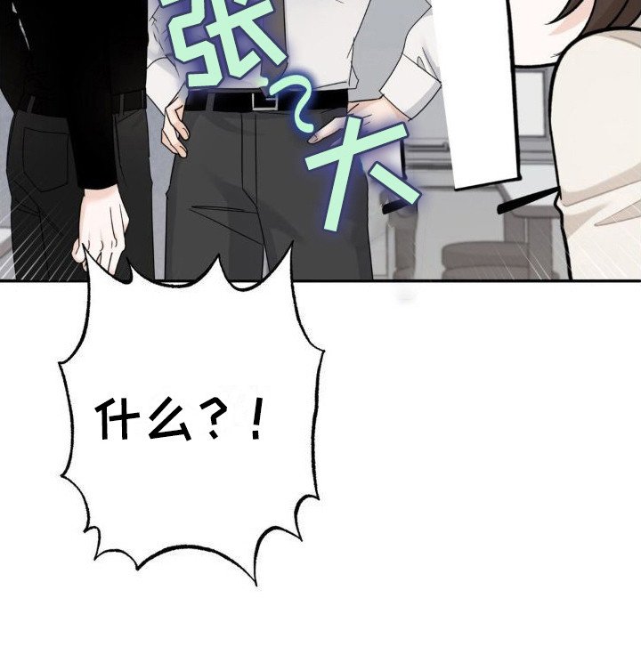 第14章：偏见